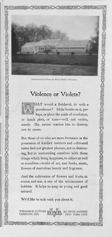 Vtg 1920 William Lutton Co Bar V Greenhouses Photo Art Print Ad Horticulture