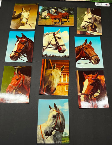 10 Horse Postcards Stable Foal Color Equestrian Kruger Unused
