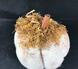 Fabric Grungy Pumpkin Hand Made White Wool Felt w/ Moss and Cinnamon Stick Fall