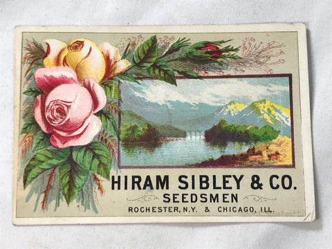 Victorian Trade Card Hiram Sibley & Co Seedsmen Rochester NY Chicago ILL - Cabin Fever Purveyors