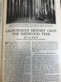 The American Review of Reviews Bound 2 Vol Complete Year 1925 History Photos - Cabin Fever Purveyors