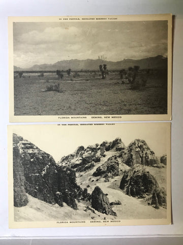 Deming New Mexico Florida Mountains 2 Postcard Unposted RPPC Mimbres Valley - Cabin Fever Purveyors
